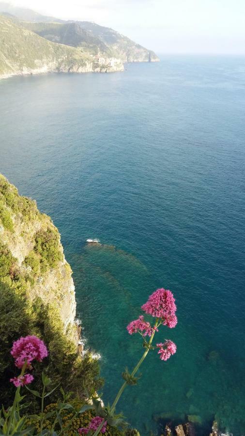 La Ginestra Hotel Corniglia Exterior photo